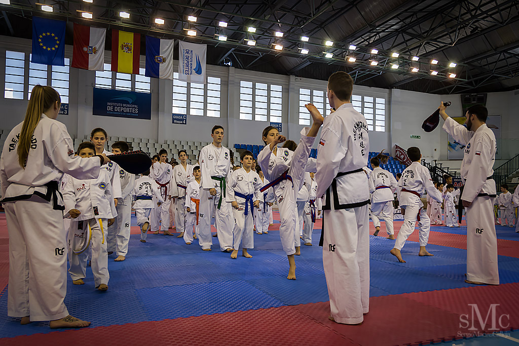 DIA DEL TAEKWONDO ABRIL 2017_3660.JPG